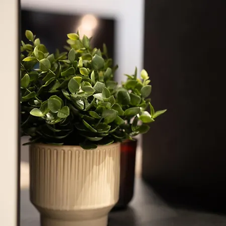 Apartment Dest Retreat & *