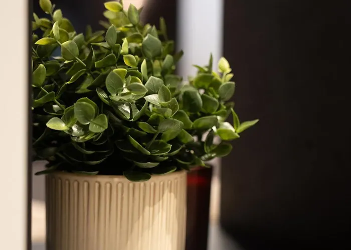 Apartmán Dest Retreat & *